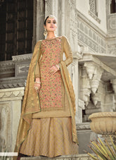 Handloom Silk Salwar Suit in Chicku Colour