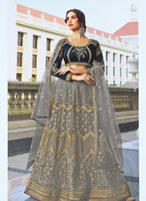 Heavy Butterfly Net Lehenga Choli in Grey