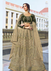 Heavy Butterfly Net Lehenga Choli in Beige