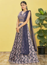 Embroidered Chinnon Lehenga in Blue