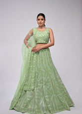 Green Colour Soft Net Lehenga Choli Looking Alluring