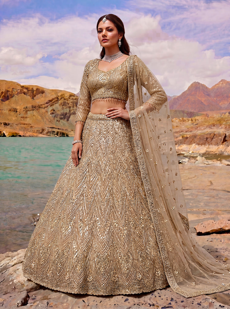 The Suvarnaya Golden Zari Embroidered Lehenga Choli