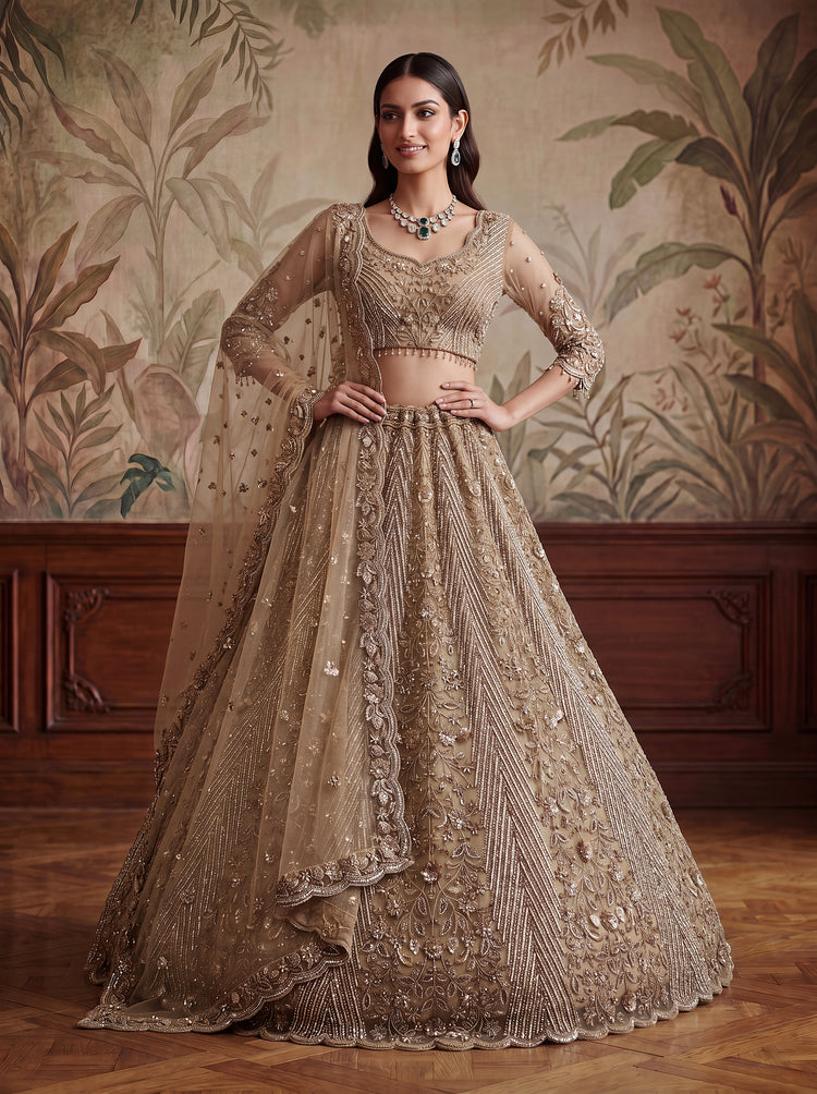Champagne Net Bridal Lehenga Choli with Zari &amp; Zircon Work, photo 3