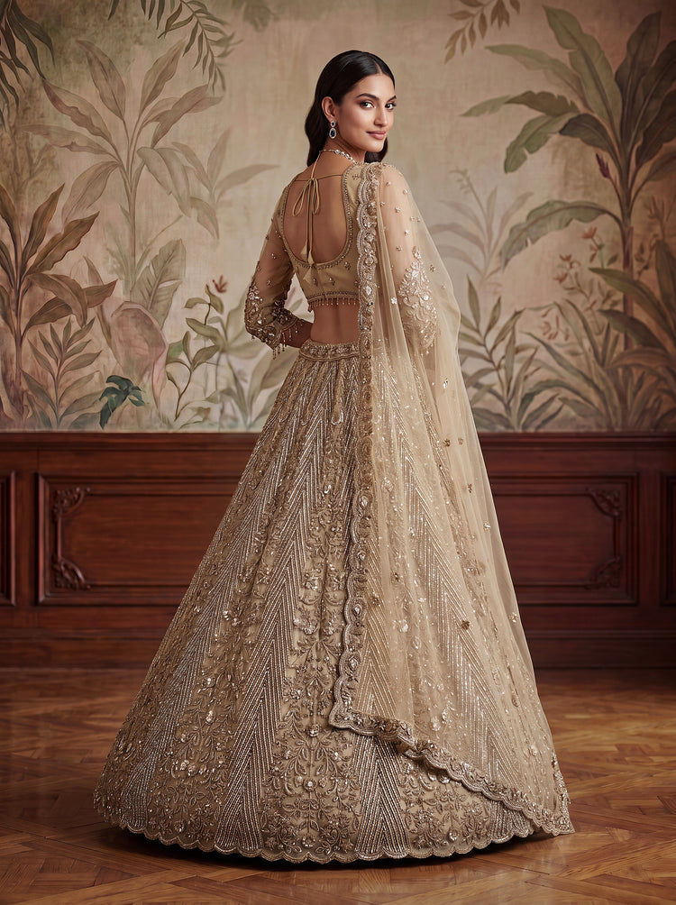 Champagne Net Bridal Lehenga Choli with Zari &amp; Zircon Work, photo 2