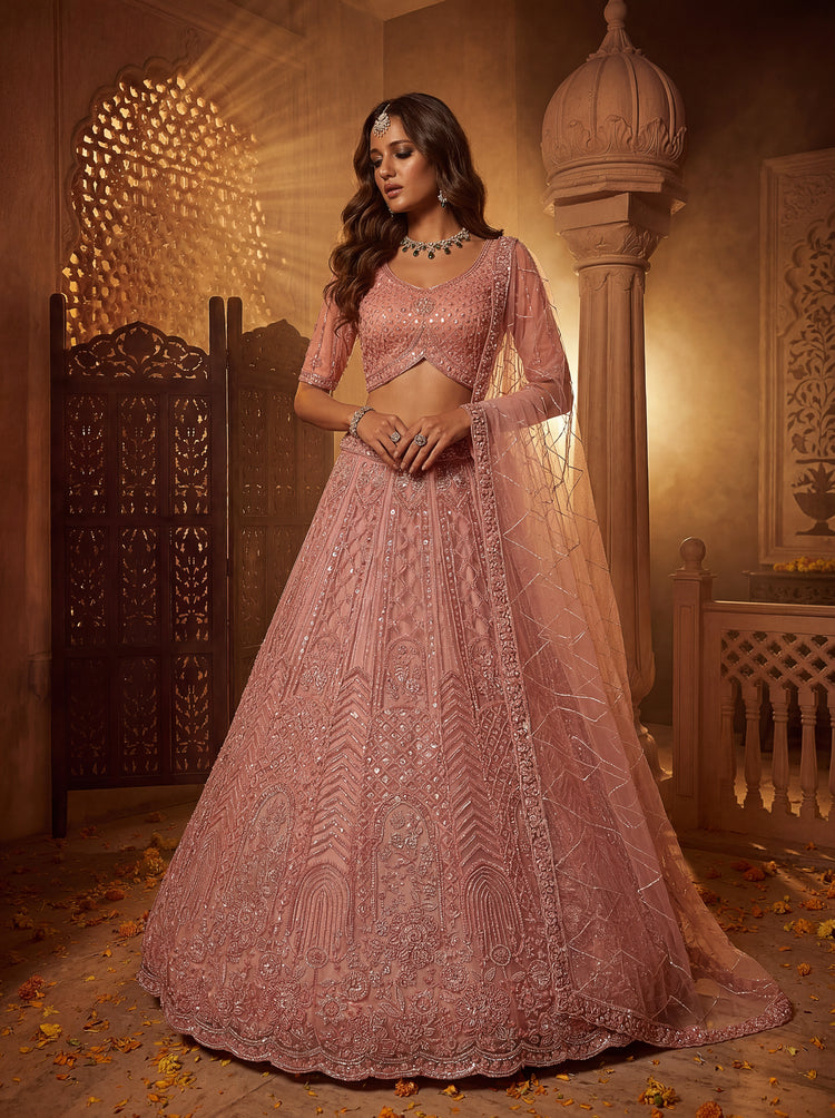 Blush Pink Net Lehenga Choli