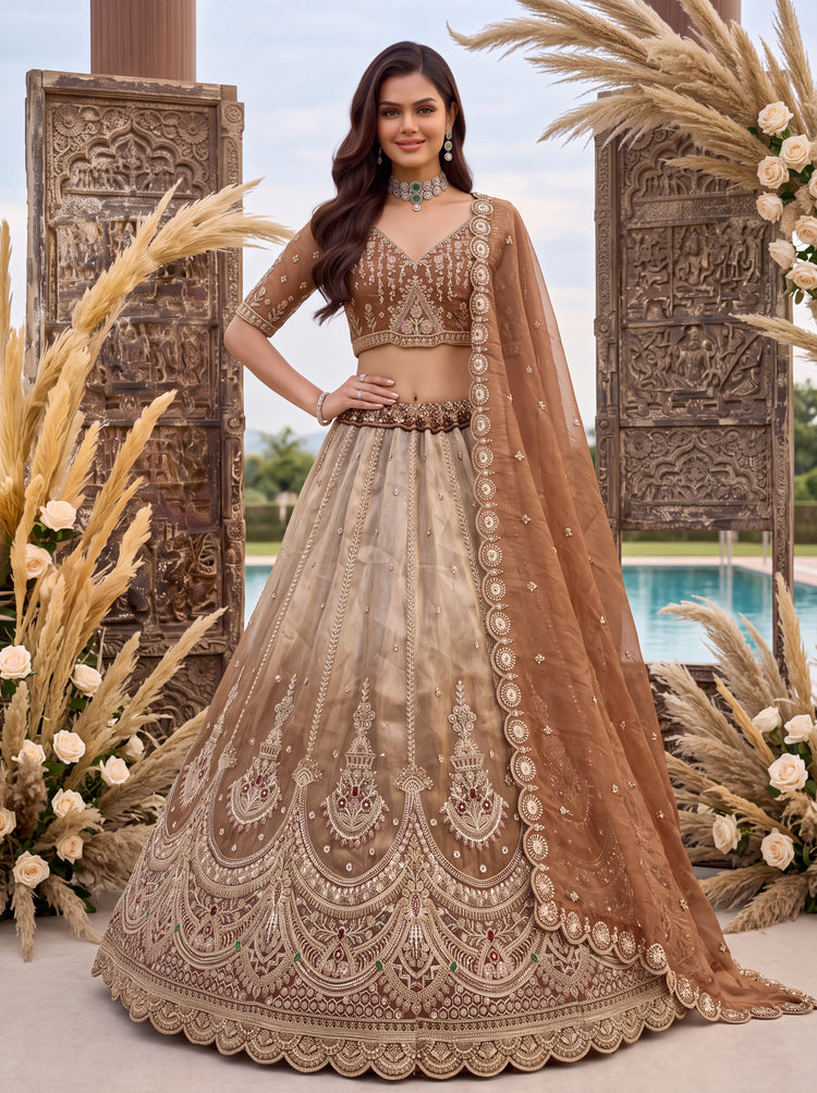 Astonishing Art of Work Shaded Chandni Silk Designer Lehenga Choli