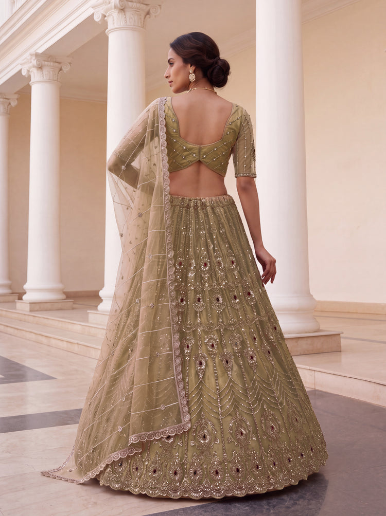 The Zareen Ruby Crystal Lehenga Choli, photo 2
