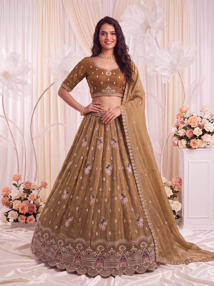 The Aavanya Olive Brown Crystal Work Lehenga Choli