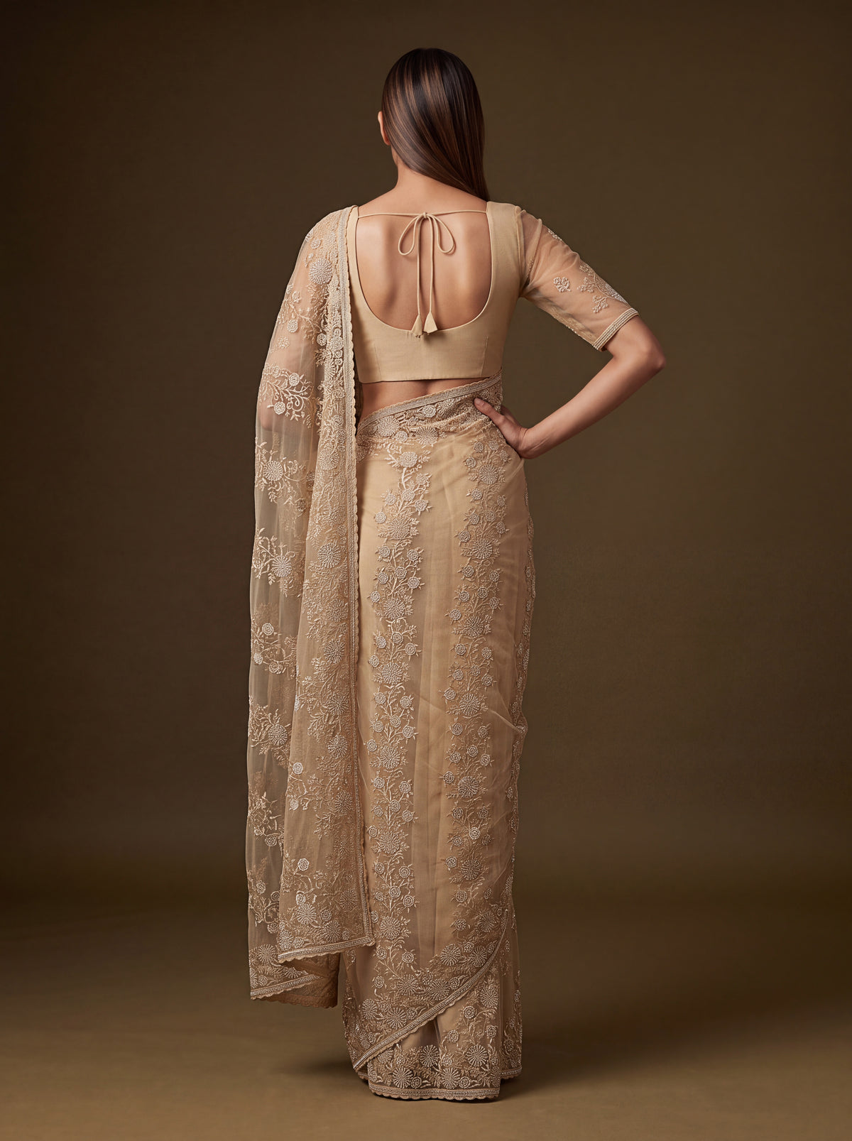 Aashvi Champagne Beige Net Saree, photo 2