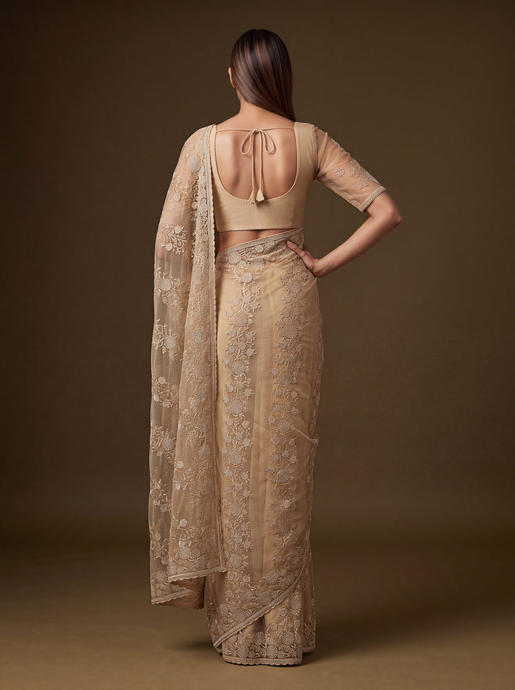 Aashvi Champagne Beige Net Saree, photo 2