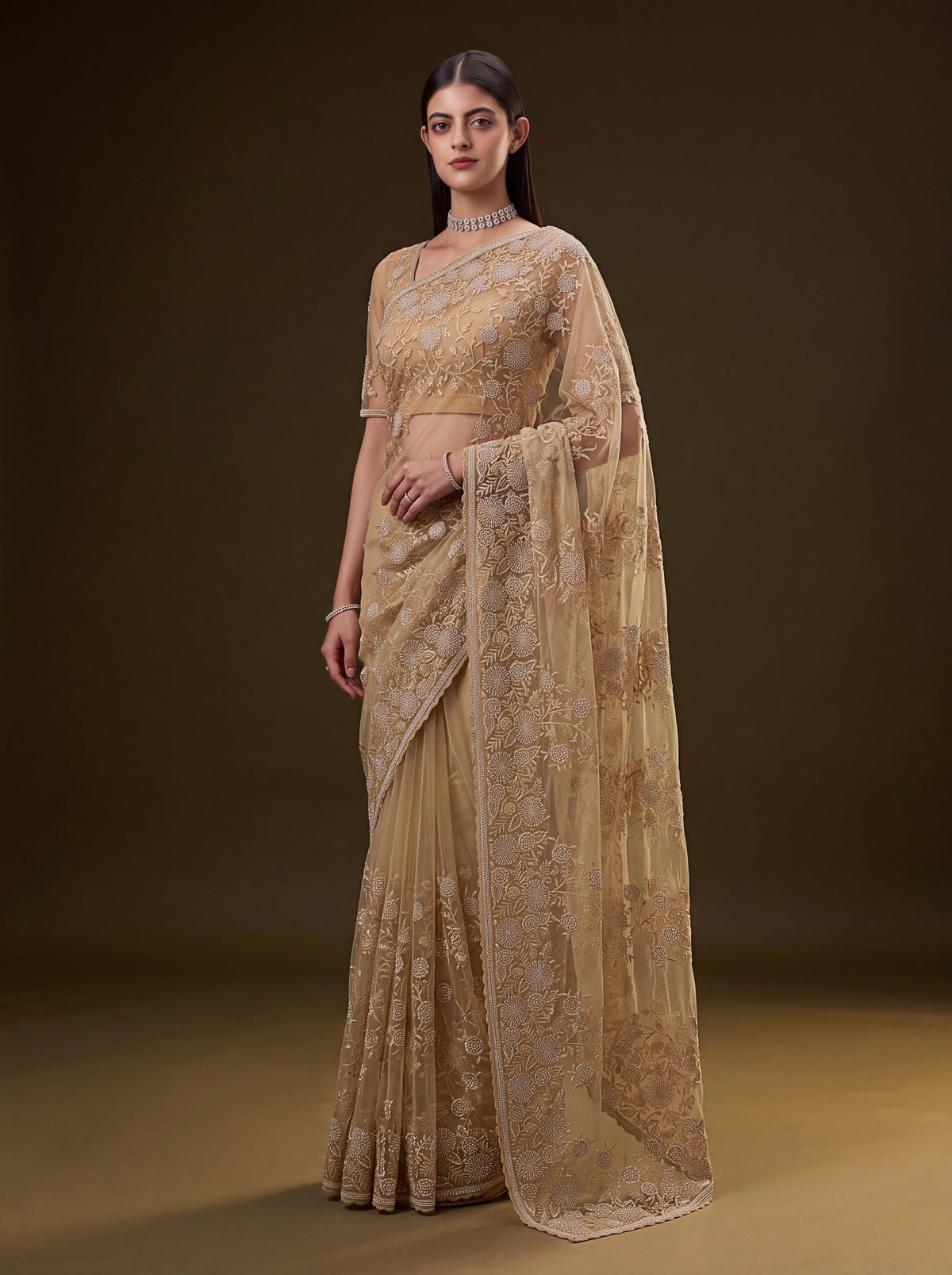 Aashvi Champagne Beige Net Saree, photo 4