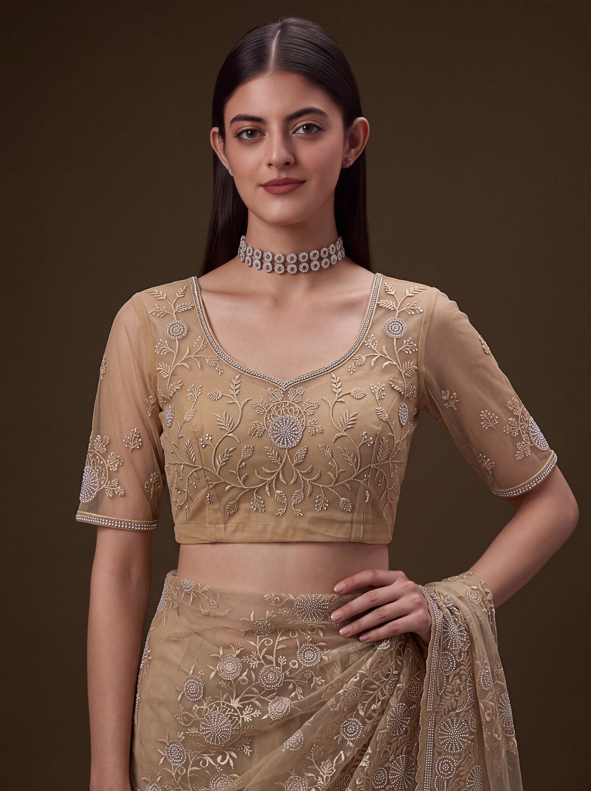 Aashvi Champagne Beige Net Saree, photo 5