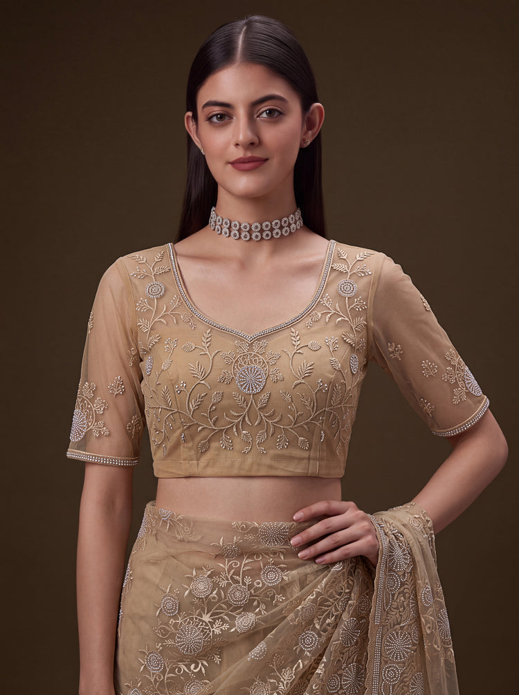 Aashvi Champagne Beige Net Saree, photo 5