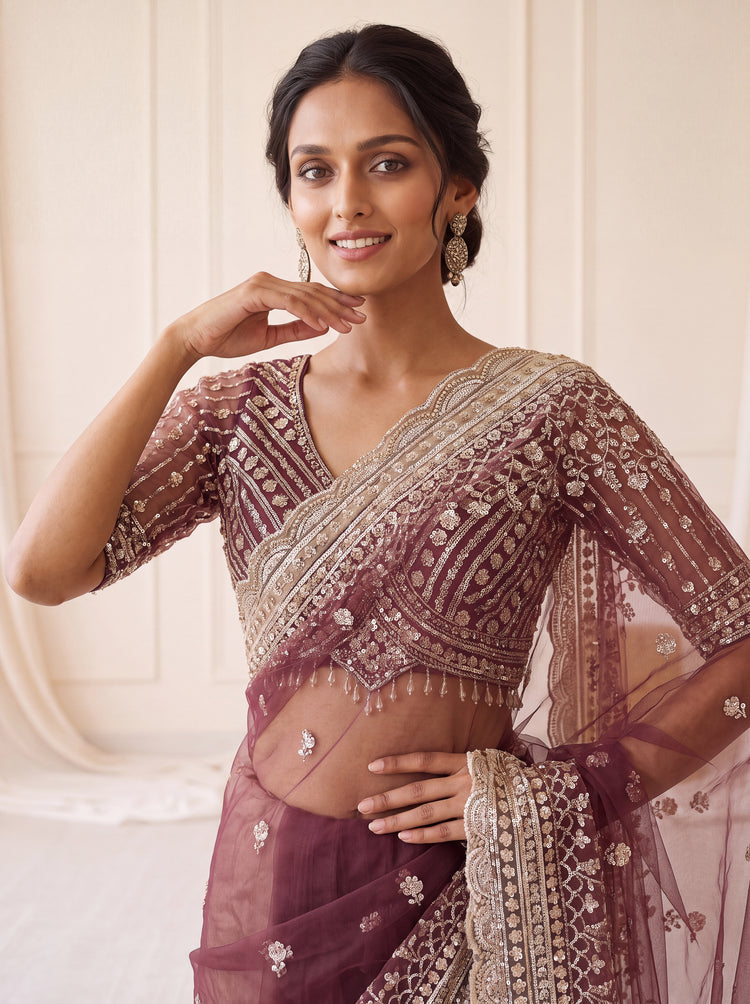Wine Maroon Net Saree 