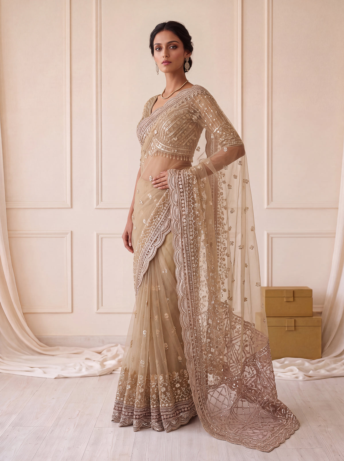 Champagne Beige Net Saree