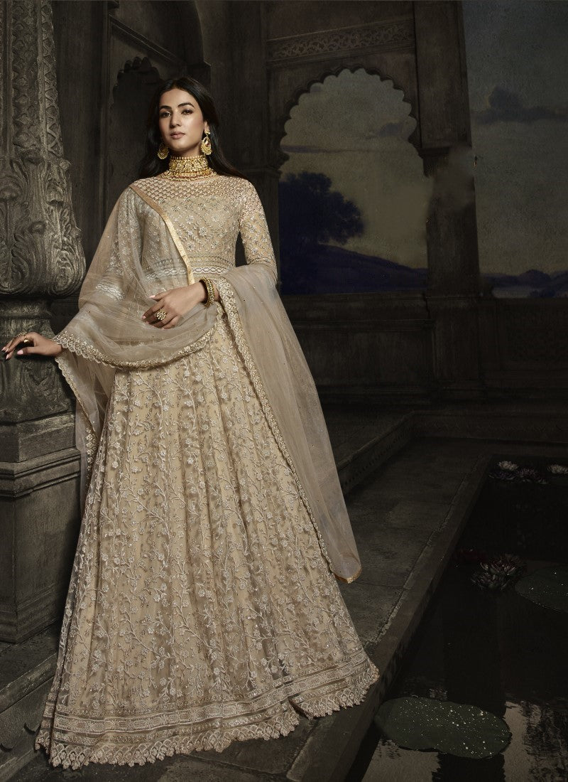 Endless Looking Gown in Beige Colour Endless Looking Gown in Beige Colour