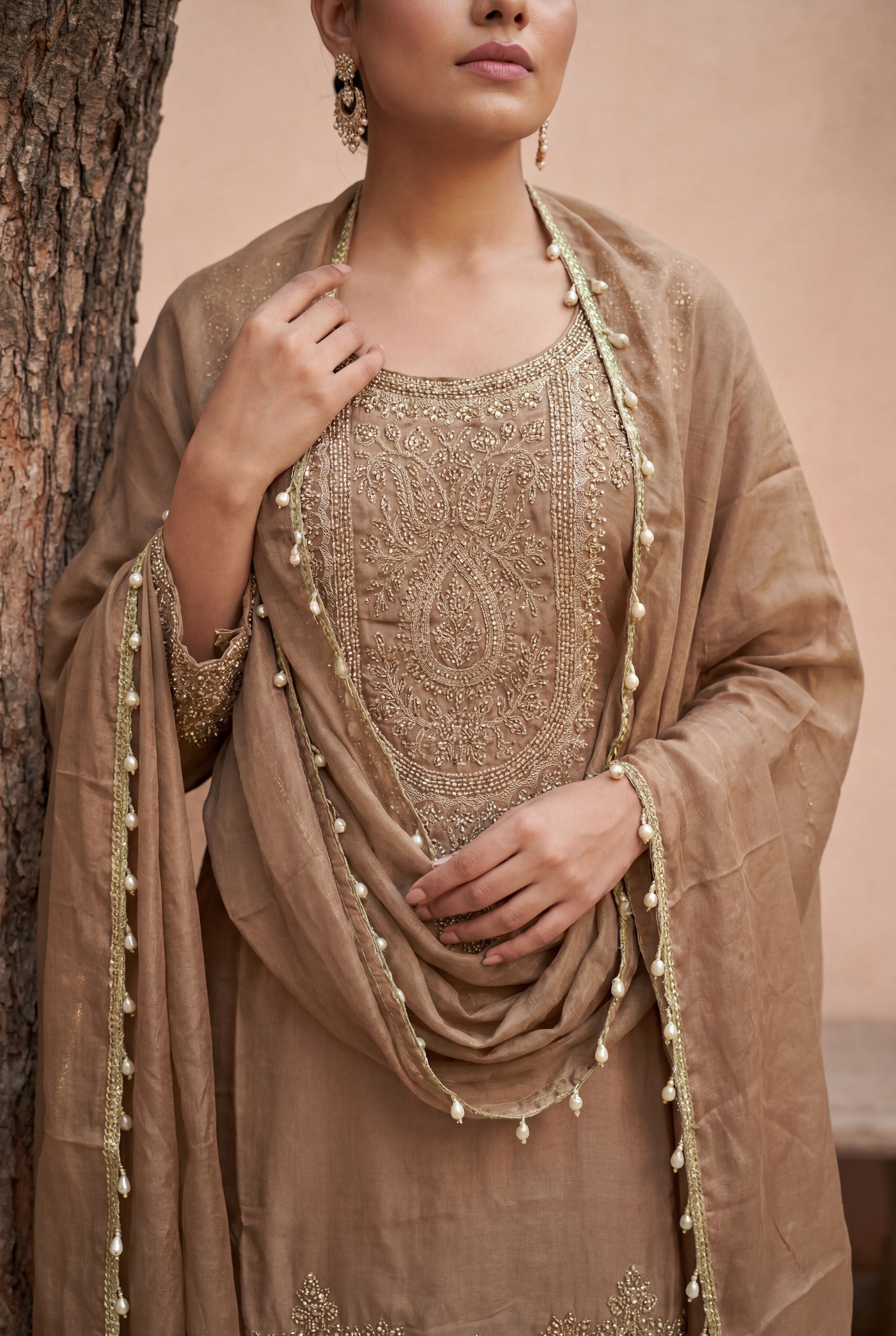 Beige Simmer Tissue Designer Embroidered Straight Suit Set with Dupatta | Party Wear | L-XXL